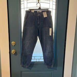 Levi’s Everyday Jogger Size 6 / W28
